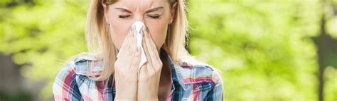 How To Fight Your Allergies