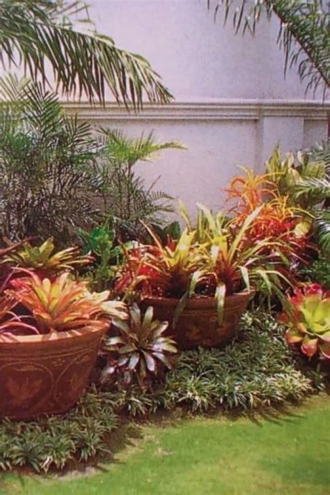 Florida Landscaping Florida Gardening Tropical Landscaping Backyard