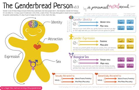 Gender Identity Explained In An Adorable Infographic Vox