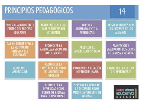 Que Son Los Principios Pedagogicos Del Nuevo Modelo Educativo Vrogue