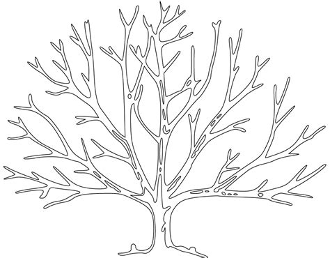 Bare Tree Coloring Page For Media Educative Printable