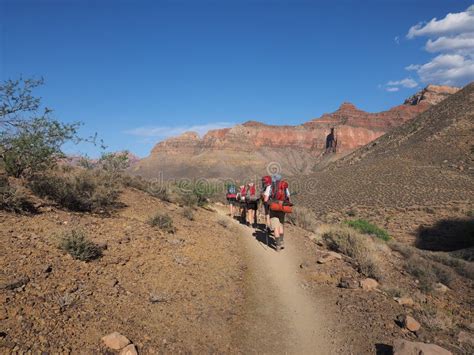 Backpackers On The Tonto Trail In The Grand Canyon Editorial Stock
