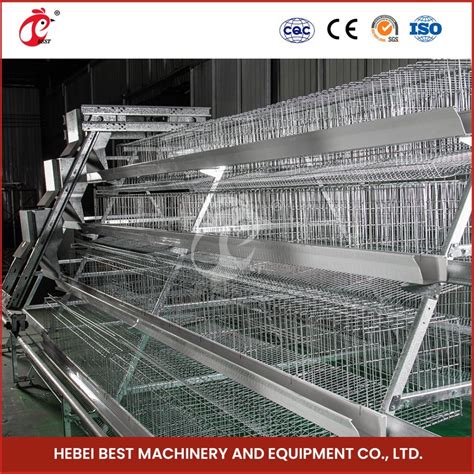 Bestchickencage China 10000 Layer Chickens Farm Bird Layer Cage Factory