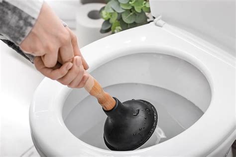 How To Unclog A Toilet With Poop In It 8 Ways To Do It Upgraded Home