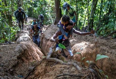 Los cadáveres de 18 venezolanos fueron hallados en una fosa en la selva