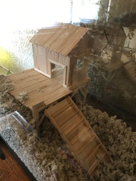 Diy Platform For My Future Baby Hamsters Diy Hamster House