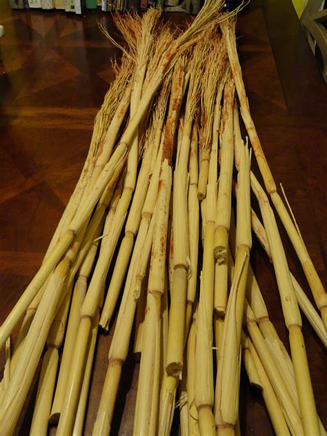 Such stover makes up about half of the yield of a corn crop and is similar to straw from other cereal grasses; It's a good thing...or is it?: ~Broom Making~