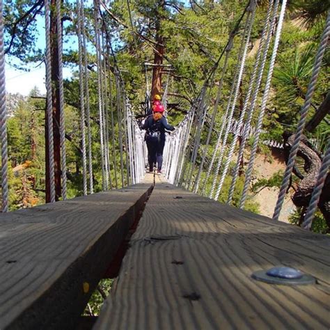 We're located just 75 miles from los angeles, right above rancho cucamonga in the san gabriel mountains, next to mountain high resort. The Treetop Trail At Ziplines At Pacific Crest In Southern ...