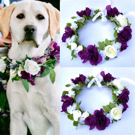 Dog Of Honor Dog Wedding Collar Pet Wedding Attire Dog Flower Crown