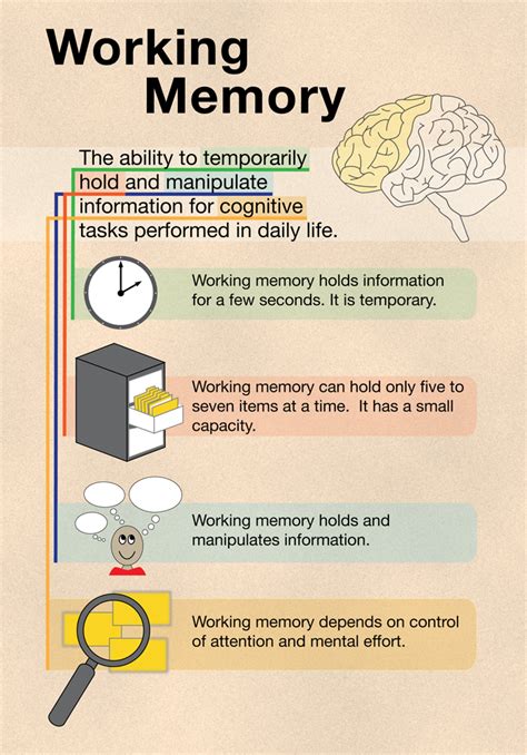 Working Memory Illustration Working Memory School Psychology