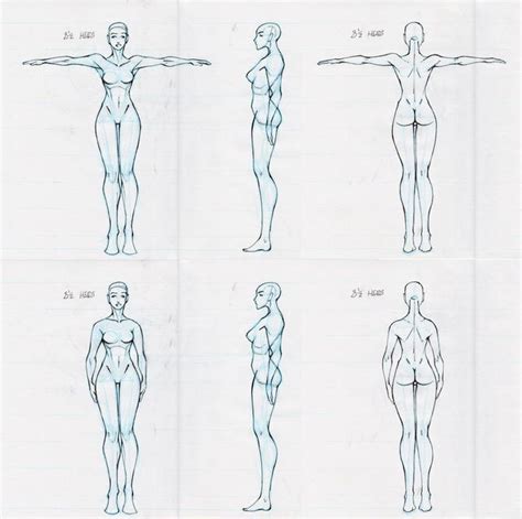 Pin By Maelena Holland On Pose References Body Reference Drawing