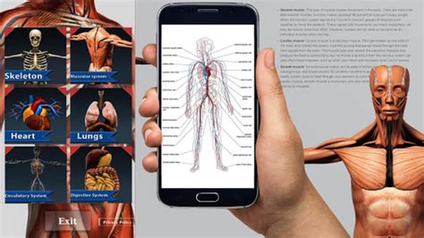 Human Anatomy And Physiology Apk لنظام Android تنزيل