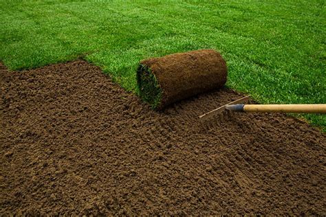 Beginner Basics How To Lay Sod Over Existing Grass Bigfoot Turf