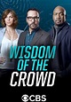 Wisdom of the Crowd - Serie TV (2017)