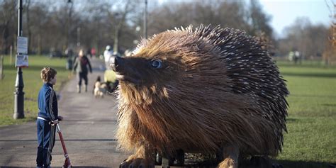 Giant Hedgehog Marks Launch Of Sir David Attenborough Series Natural