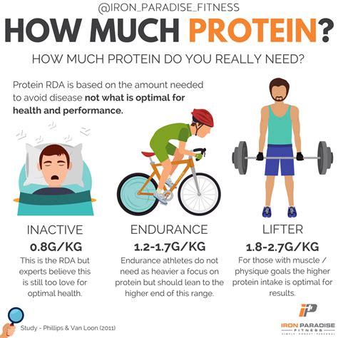 Unlocking The Power Of Protein How Much Do You Really Need