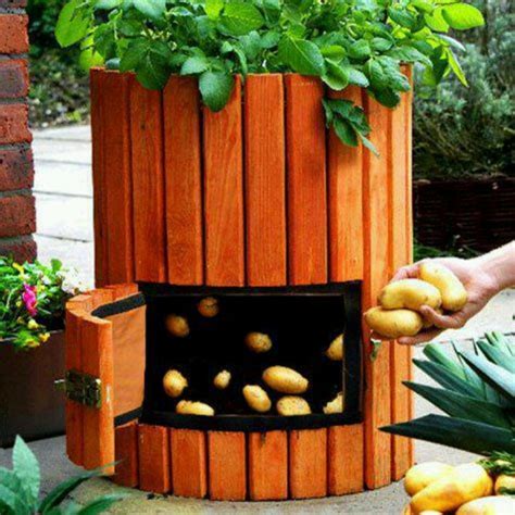 This rustic primitive potato and onion bin is hand made from knotty pine wood, and black hammered hinges. Potato bin | Plants, Garden projects, Outdoor gardens