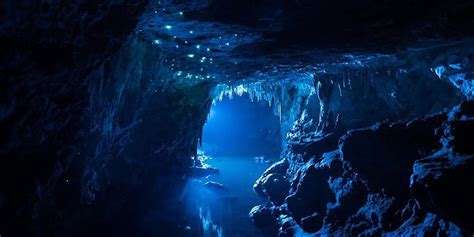 Waitomo Caves Waitomo New Zealand Underwater Caves Dark Cave Long