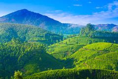 ˈɪndi̯ən]) ist ein staat in südasien, der den größten teil des indischen subkontinents umfasst. Landwirtschaftliche Landschaft Indien Stockfoto - Bild ...