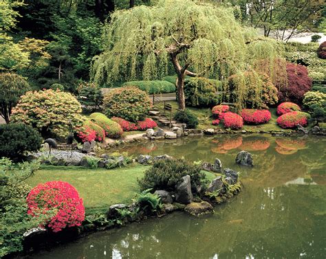 Japanese gardens often utilize moss because of its versatility and resilience. Portland Japanese Garden: A place of serenity and beauty ...