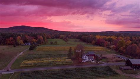 10 Best Wineries In Ct Mint Condition Portal Photogallery