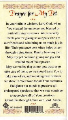 Prayer for the healing of your sick pet † ▻ come, join us in praying in this. saint francis of assisi prayer | Prayers to St Francis of ...