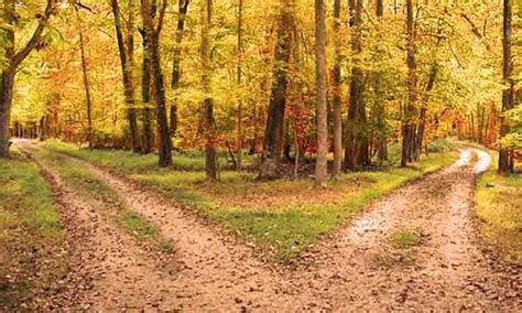 Two Roads Diverged In A Yellow Wood By Abhishek Sharma Gaur Medium