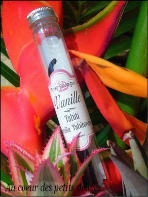 Cr Me Br L E La Vanille De Tahiti Au Coeur Des Petits D Lices