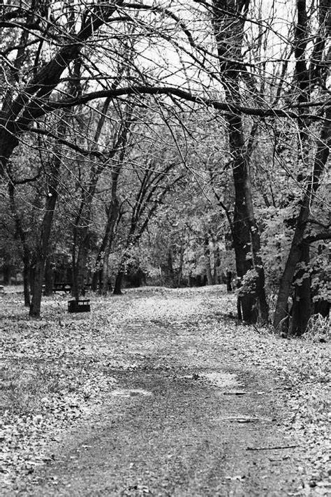 The Beaten Path Photograph By Gina Lynn Fine Art America