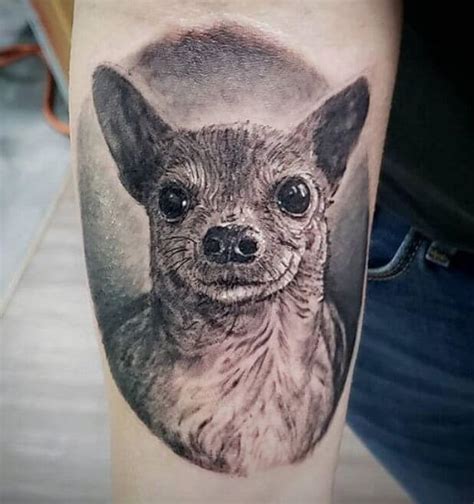 17 Cute Chihuahua Tattoos Pettime