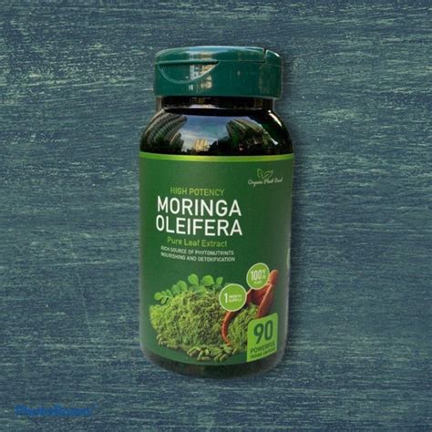 Oleifera oil, biodiesel was obtained by a standard transesterification procedure. Moringa Oleifera High Potency With Black Pepper || 90 ...