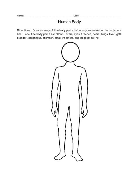 Human Body Diagram For Kids Human Anatomy