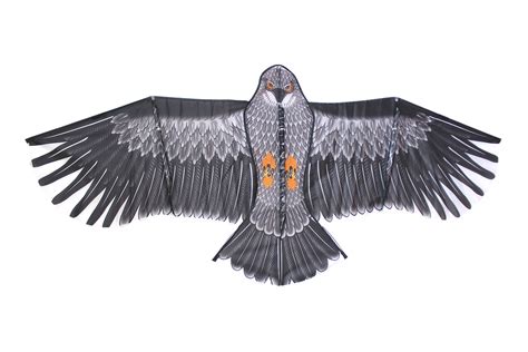 Super Eagle | High As A Kite