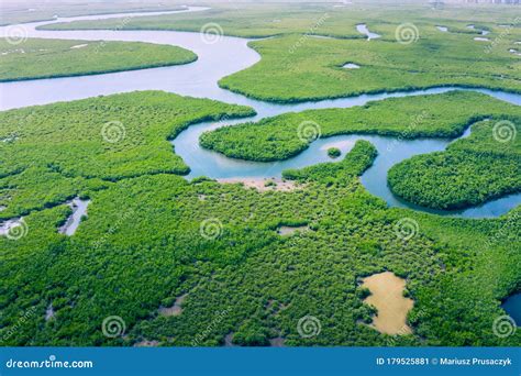 Aerial View Of Amazon Rainforest In Brazil South America Green Forest