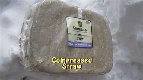 Compressed Straw Youtube