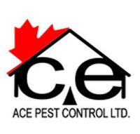 Here are the 7 best pest control services. ACE PEST CONTROL LTD. - Pest Control - Publishing, Local ...