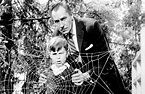 The Fly (1958) - Turner Classic Movies