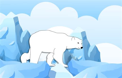 Oso Polar Dibujo Animado