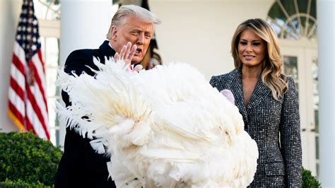 trump issues his final turkey pardon the new york times
