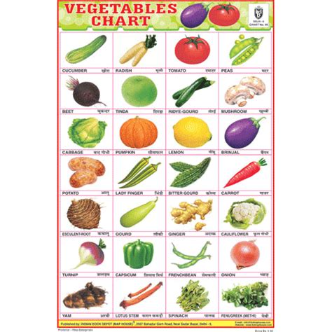 Vegetables Chart 28 Photo Size 12x18 Inchs 300gsm Artcard