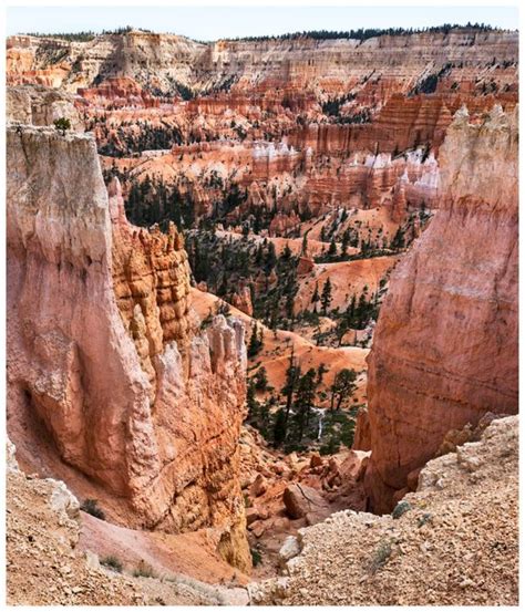 Into Bryce Canyon Gail Lipson Photography