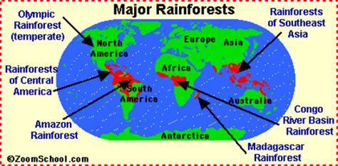 What Factors Control The Location Of Rainforests Owlcation
