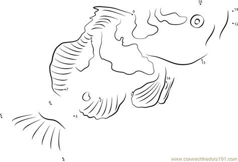 A sawfish, a tropical fish. Grouper Fish - Free Colouring Pages