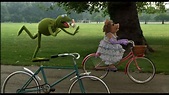 Image Gallery kermit riding bike