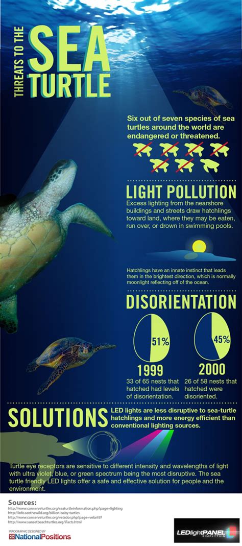 Threats To The Sea Turtles Sea Turtle Facts Sea Turtle Turtle Facts