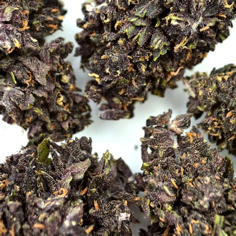 Purple Haze Cbd 🍇 Indoor Flores Naturales De Calidad