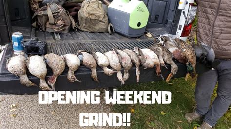 Illinois Public Land Duck Hunt Hunt And Cook Youtube