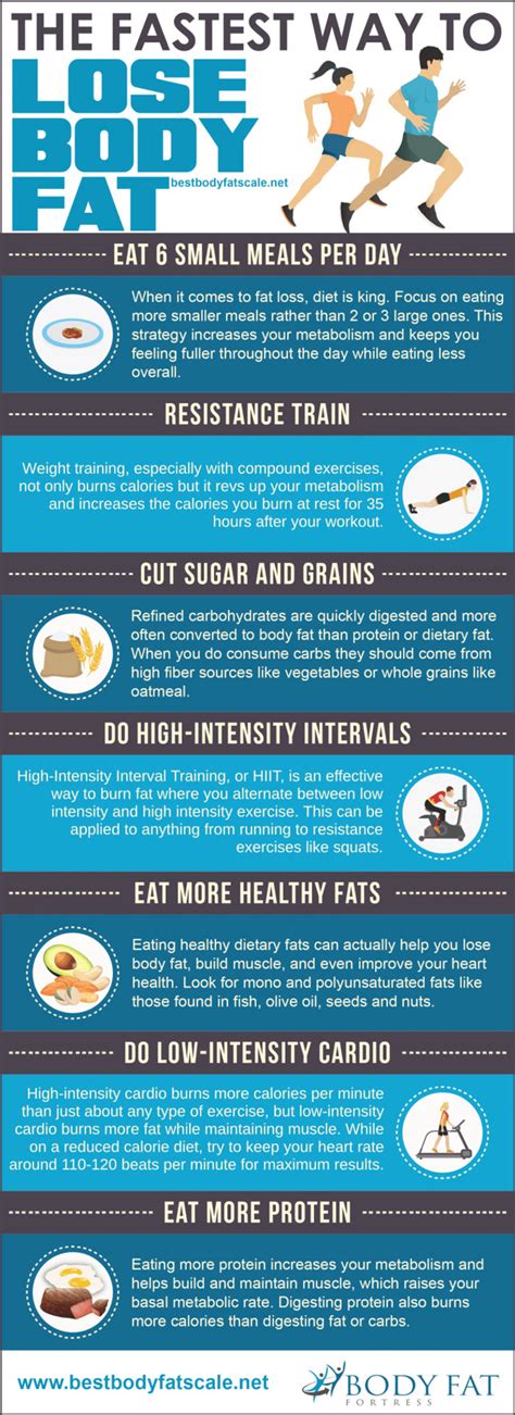 Fastest Way To Lose Body Fat Infographic Best Infographics