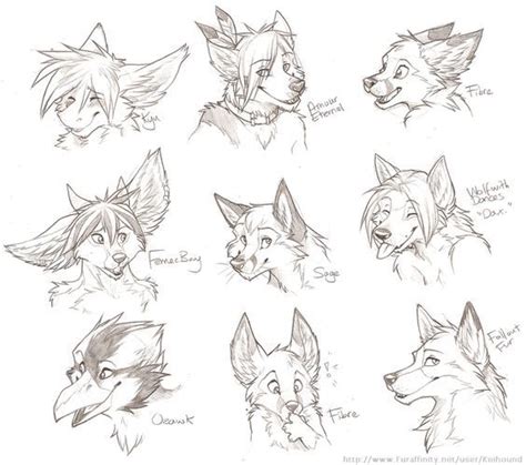 How To Draw Anthro Wolf Furry