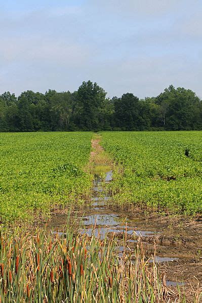 Image Irrigation Ditch In Montour County Pennsylvania